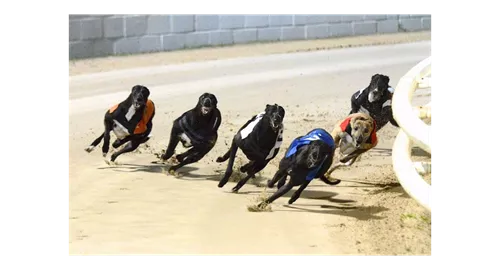 Poole Greyhound Stadium
