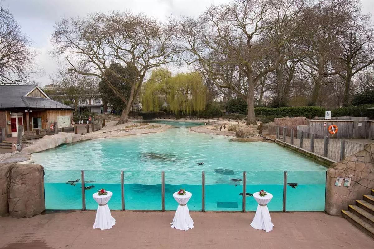 Unique Animal Houses at ZSL London Zoo in Camden