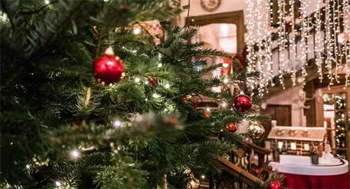 Christmas Eve Dinner at The Castle at Taunton 2025 at The Castle at Taunton