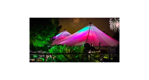 Family New Year’s Eve Party at Treetops Pavilion 2025 at Safari Venues at West Midland Safari Park