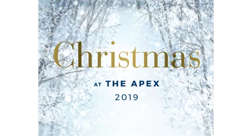 Winter Wonderland Christmas Ball Party Night 2025 at The Apex