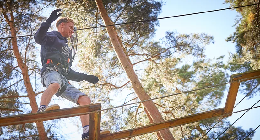 Go Ape Cockfosters