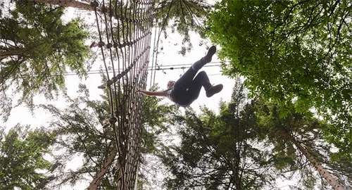Go Ape Cockfosters