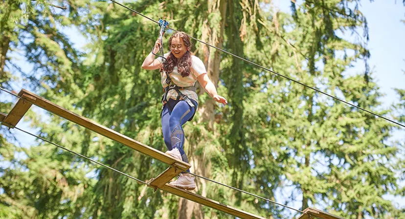 Go Ape Swinley Forest, Bracknell