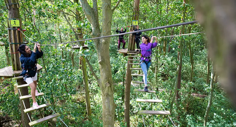Go Ape Leeds Castle, Maidstone