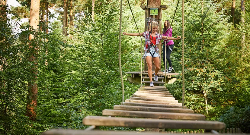 Go Ape Haldon, Exeter