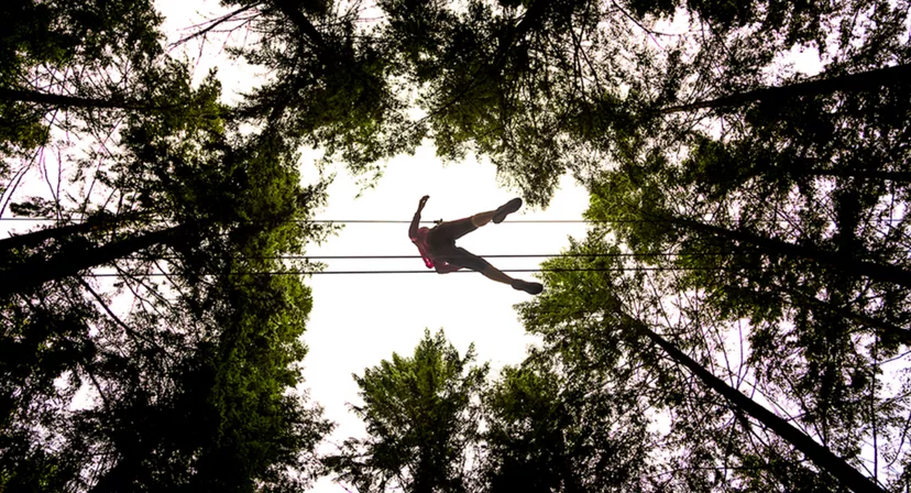 Go Ape Glentress Forest, Edinburgh