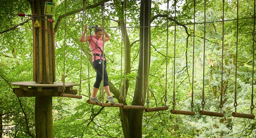 Go Ape Delamere, Liverpool