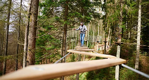 Go Ape Crathes Castle, Aberdeen