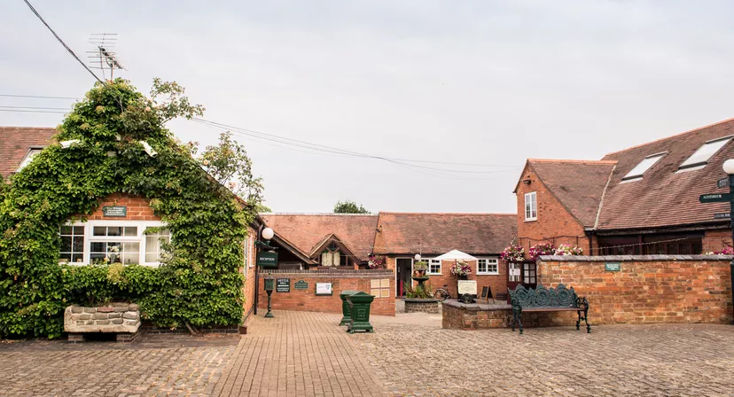Nettle Hill Ltd
