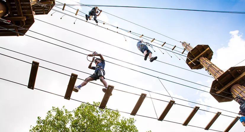 Go Ape Alexandra Palace