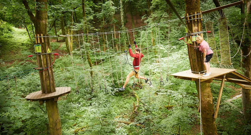 Go Ape Buxton