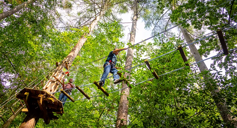 Go Ape Rivington