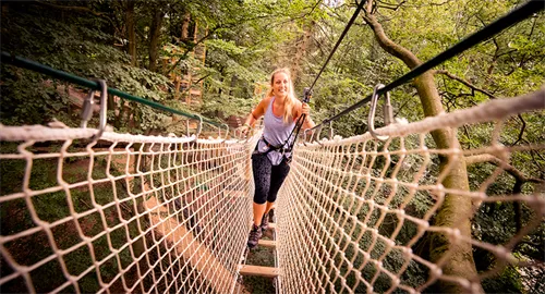 Go Ape Temple Newsam