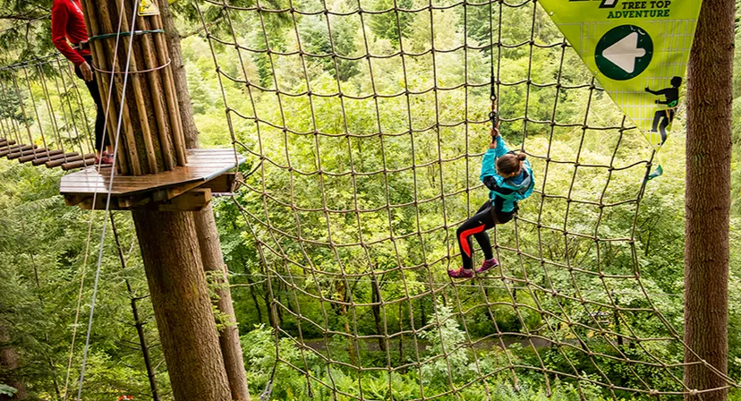 Go Ape Whinlatter