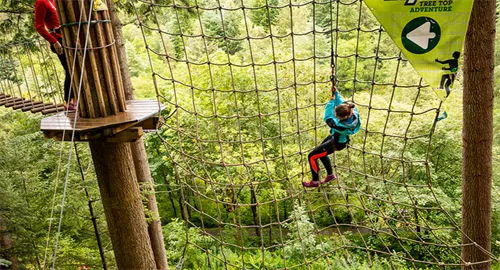 Go Ape Whinlatter