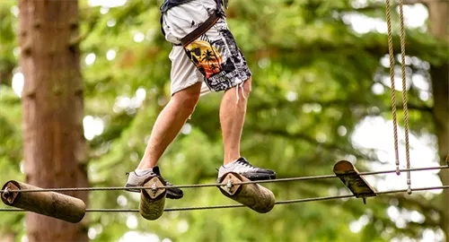 Go Ape Woburn