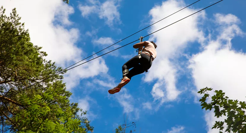 Go Ape Wyre Forest