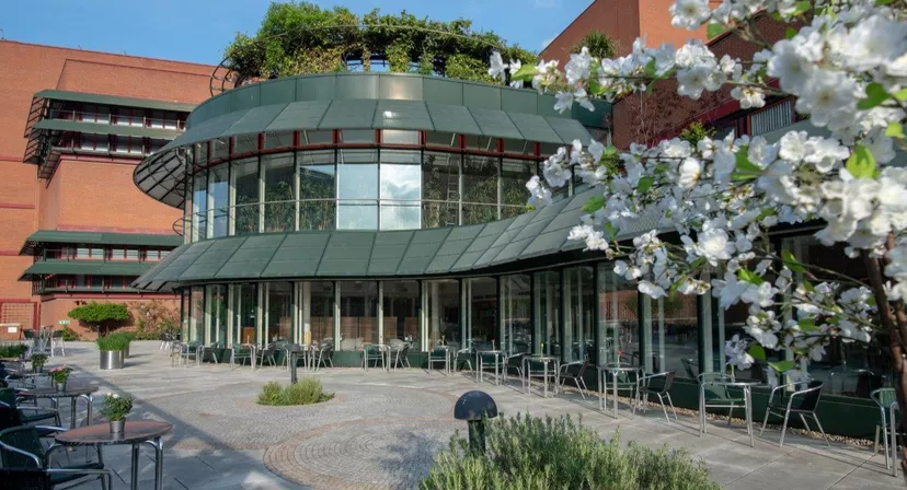 The British Library