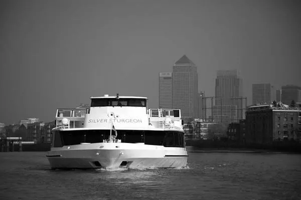 Woods' Silver Fleet