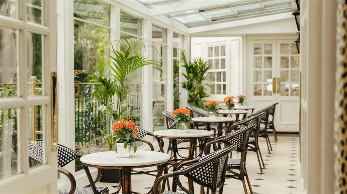 Leopard Bar Terrace at The Montague On The Gardens in Bloomsbury