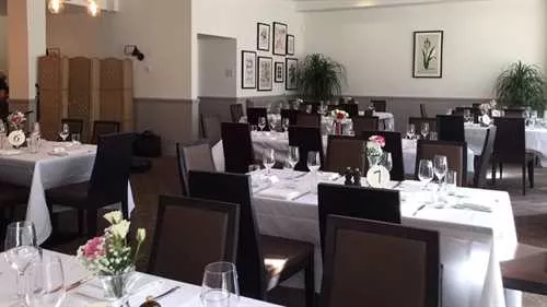 Tulip Tree Room