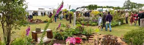Outside Space at Norfolk Showground