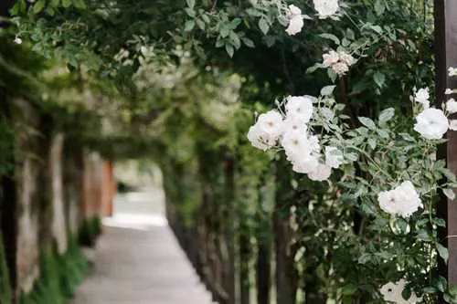 The Gardens at Woodhall Manor