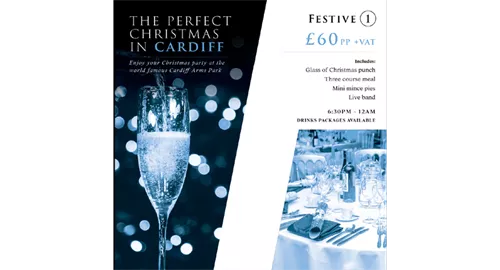 Festive Band Christmas Party Nights 2024 at Cardiff Arms Park Marquee