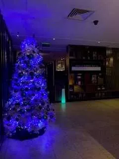 DoubleTree by Hilton London Angel Kings Cross, Islington Christmas Parties 2024