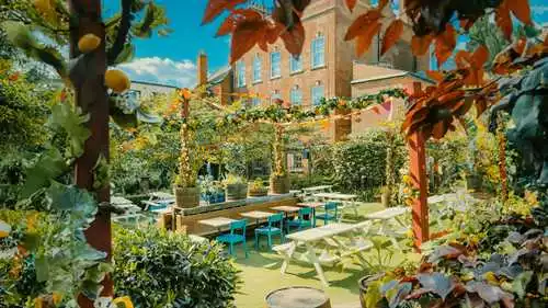 The Garden