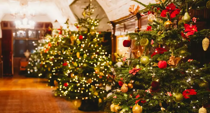 Hever Castle, Edenbridge Christmas Parties 2024