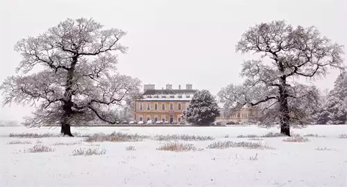 Stapleford Park Christmas Parties 2024