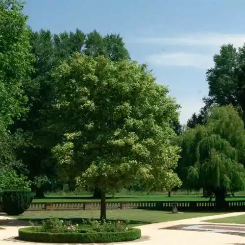Grounds & Gardens 1 room hire layout at