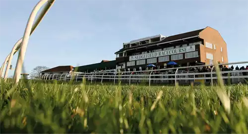 Sedgefield Racecourse