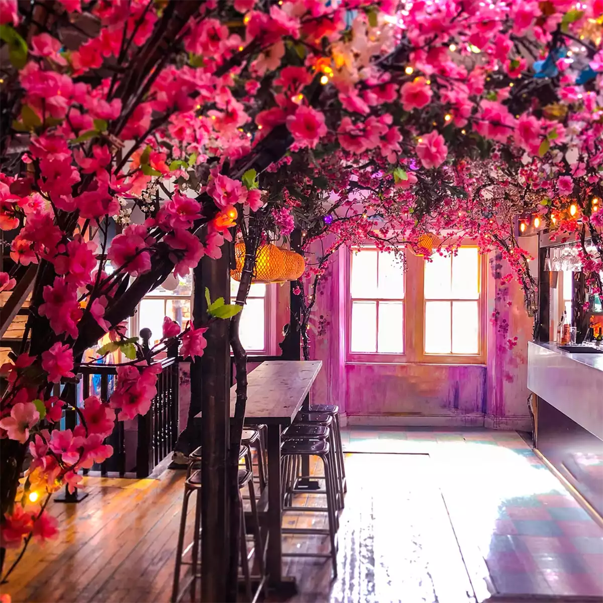 Electric Garden at The Hockley Arts Club in Nottingham