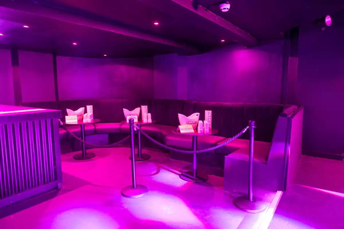 Circuit York Christmas Parties 2025