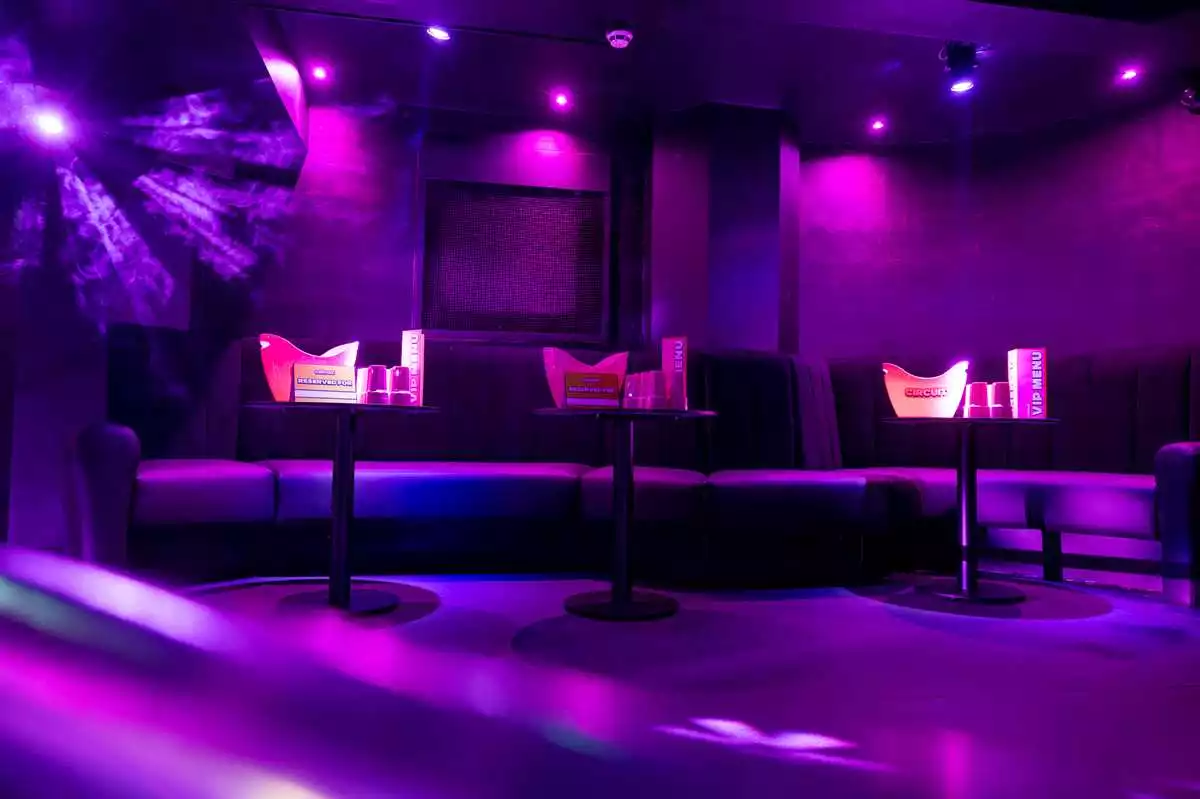Circuit York Christmas Parties 2025