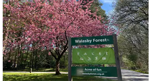 Walesby Forest