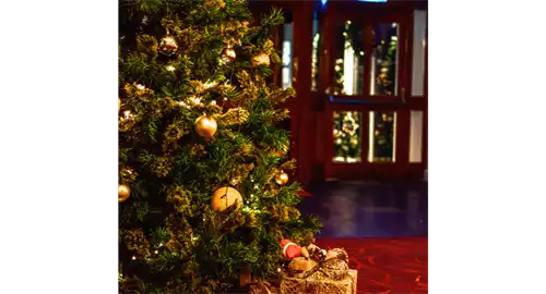 The Hermitage Hotel Christmas Parties 2025