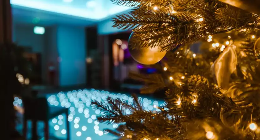 Wyboston Lakes Resort Christmas Parties 2025