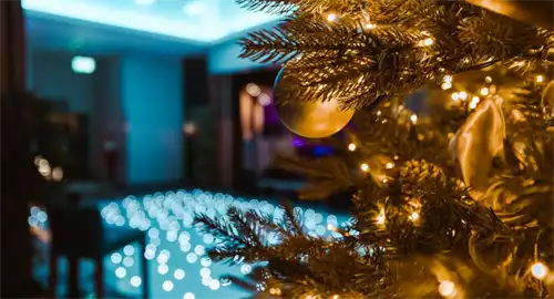 Wyboston Lakes Resort Christmas Parties 2025