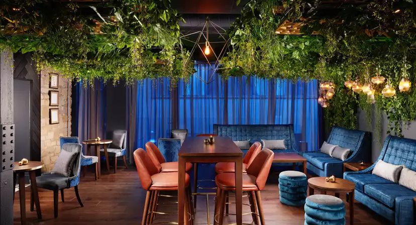 Malmaison Edinburgh City Christmas Parties 2025