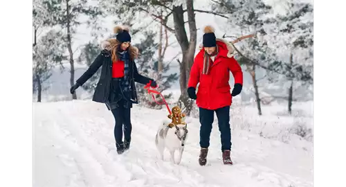 Christmas Day Residential Package 2026 at Macdonald Drumossie Hotel