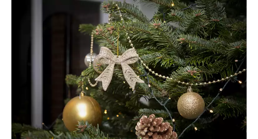Cantley House Hotel Christmas Parties 2025