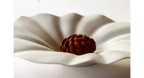 Festive Dining 2026 at The Bath Priory