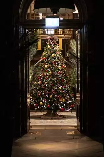 Municipal Hotel Liverpool - MGallery Christmas Parties 2025