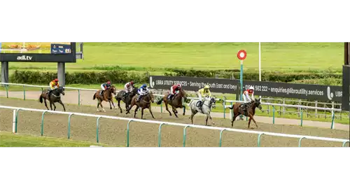 Winter Afternoon All Weather Racing 2025 at Lingfield Park Resort & Marriott Hotel