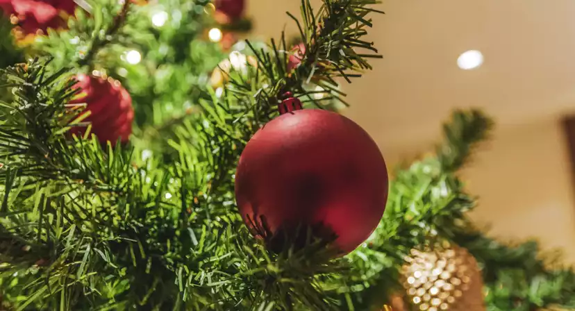 St James Hotel and Club Mayfair Christmas Parties 2025