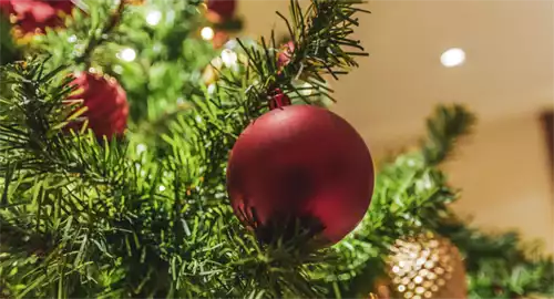 St James Hotel and Club Mayfair Christmas Parties 2025